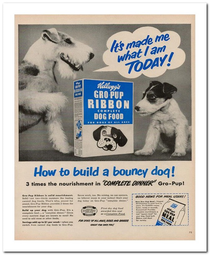 8x10 Vintage Ad 1950 How To Build A Bouncy Doq 02062501229