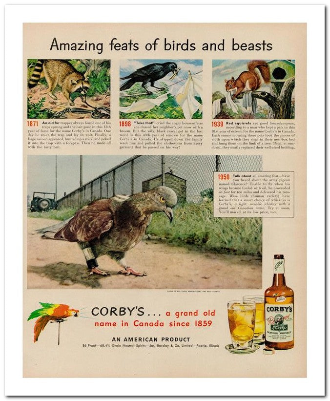 8x10 Vintage Ad 1950 Amazing Feats Of Birds And Beasts 02062501368