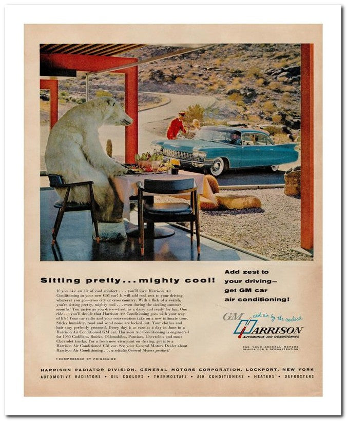 8x10 Vintage Ad 1960 Harrison 02062501720