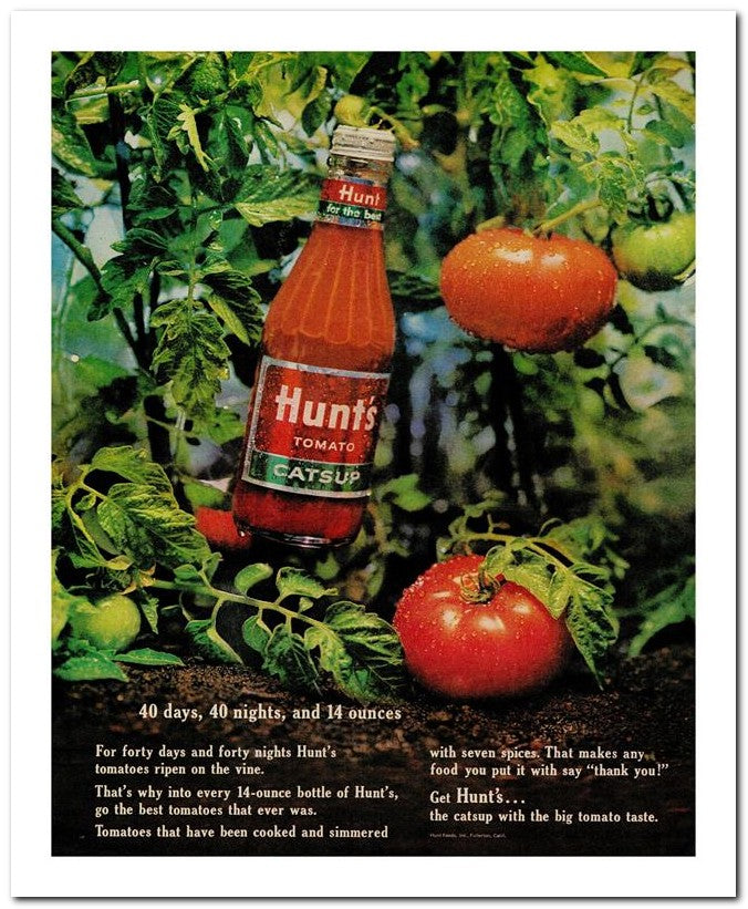 8x10 Vintage Ad 1964 40 Days 40 Nights And 14 Ounces 02062501870