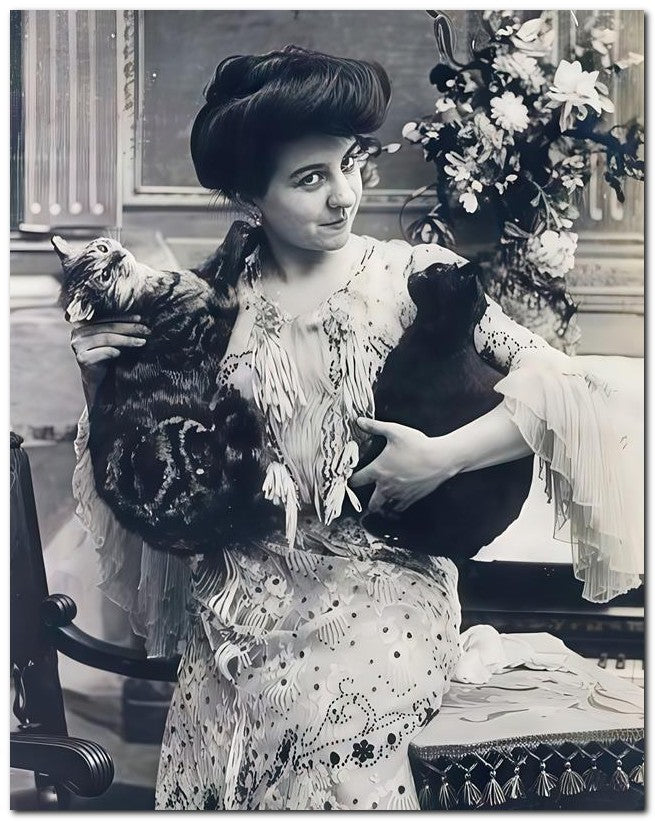French Belle Epoque Fashion 1906 2cats 8x10 Photo Print 23052501603