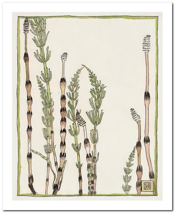 Hannah Borger Overbeck 8x10 Fine Art Print 25032501070