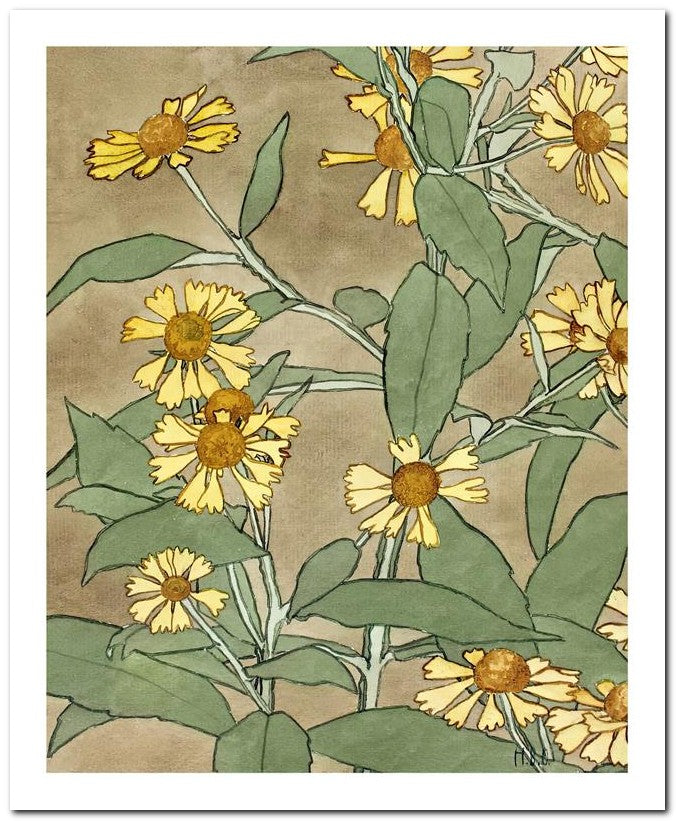 Hannah Borger Overbeck 8x10 Fine Art Print 25032501075