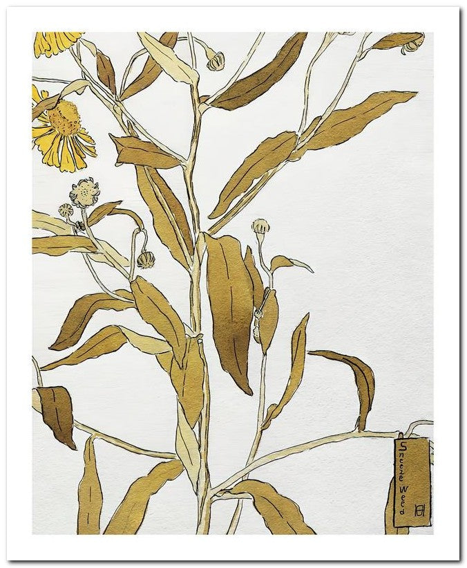 Hannah Borger Overbeck 8x10 Fine Art Print 25032501077
