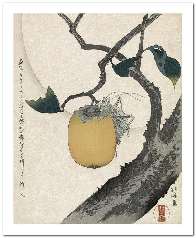 Katsushika Hokusai 8x10 Fine Art Print 25032501537