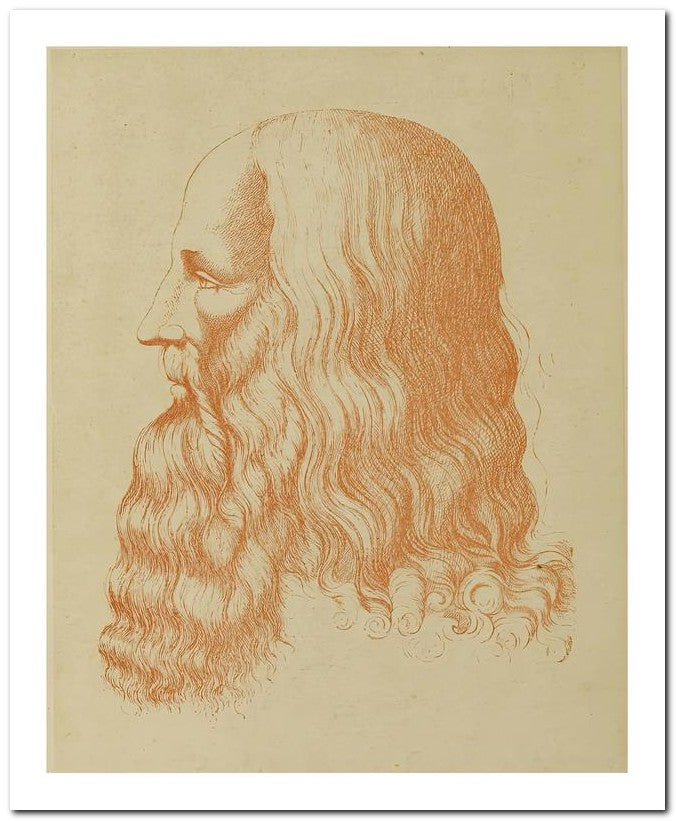 Leonardo Da Vinci 8x10 Fine Art Print 25032501729