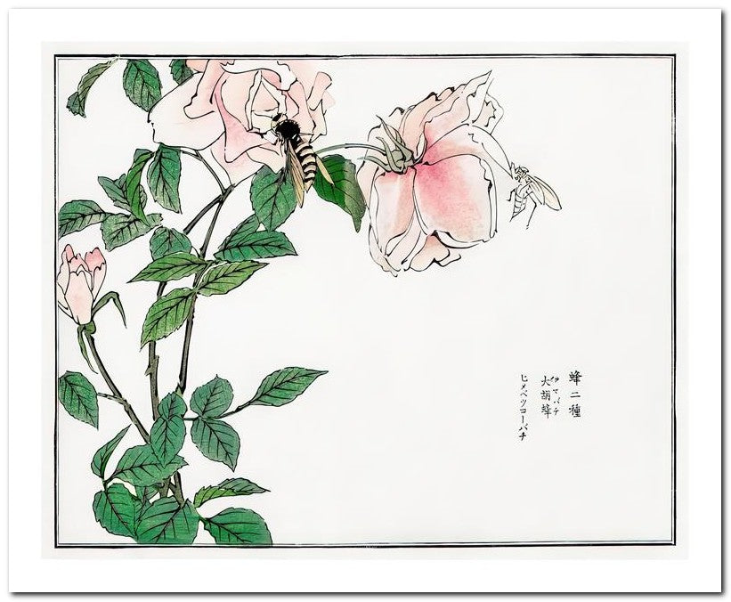 Morimoto Toko 8x10 Fine Art Print 25032501782