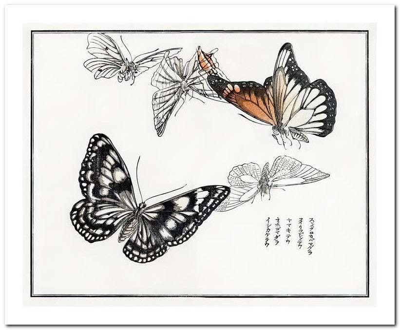 Morimoto Toko 8x10 Fine Art Print 25032501790