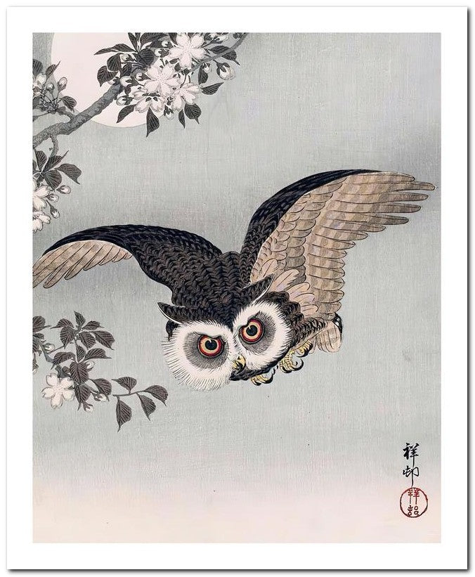 Ohara Koson 8x10 Fine Art Print 25032501918