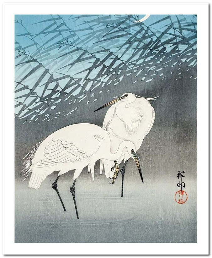 Ohara Koson 8x10 Fine Art Print 25032501926