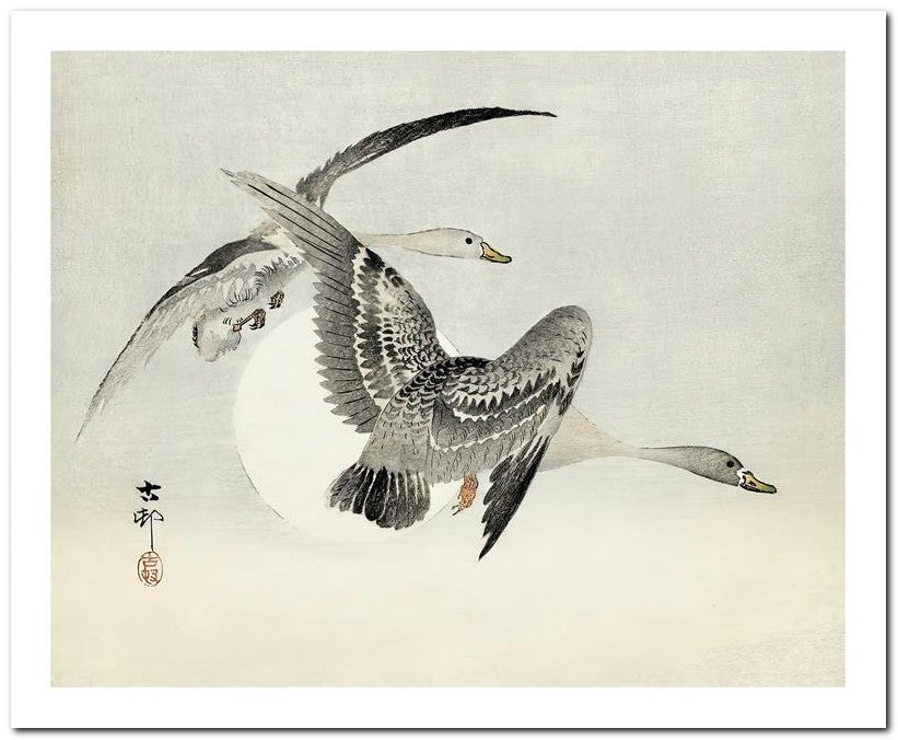 Ohara Koson 8x10 Fine Art Print 25032501929