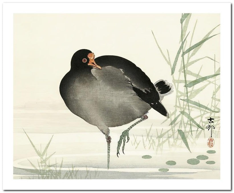 Ohara Koson 8x10 Fine Art Print 25032501939