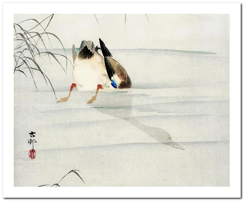 Ohara Koson 8x10 Fine Art Print 25032501944