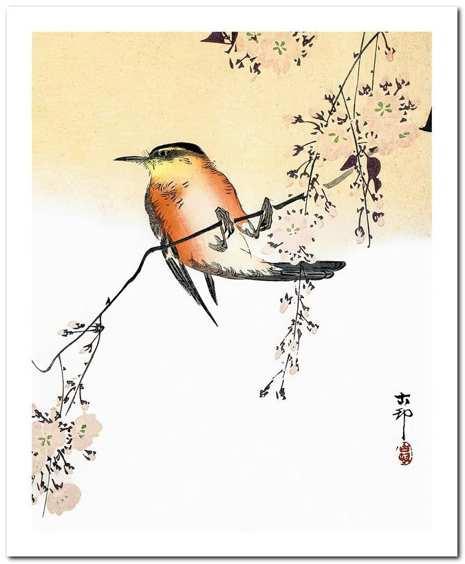 Ohara Koson 8x10 Fine Art Print 25032501946