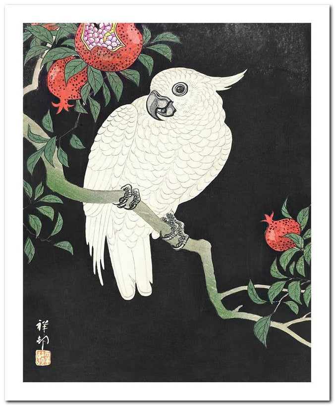 Ohara Koson 8x10 Fine Art Print 25032501973