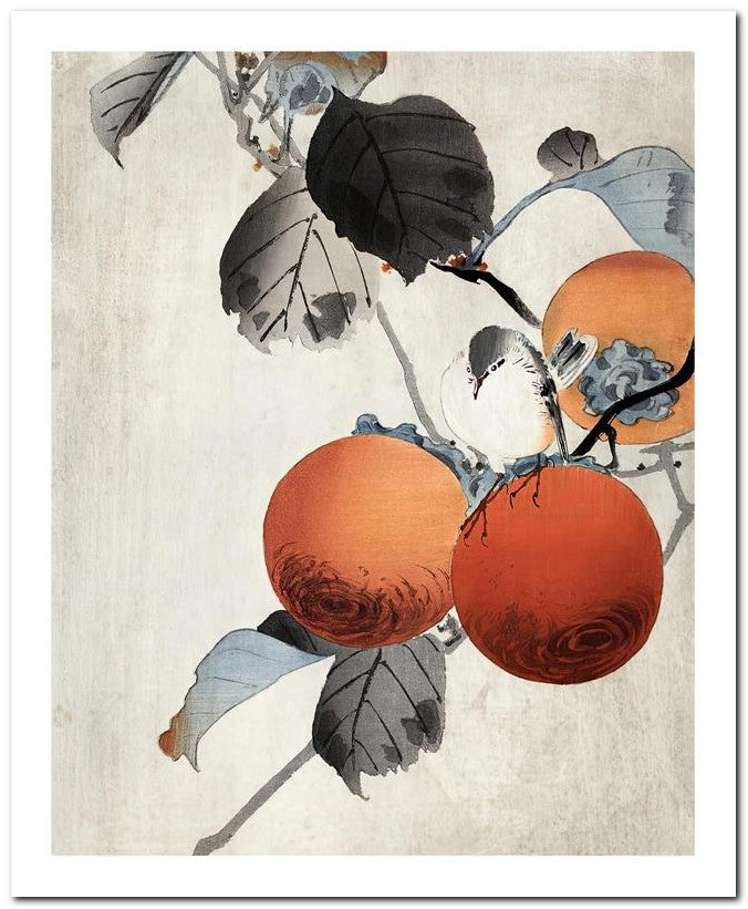 Ohara Koson 8x10 Fine Art Print 25032501977