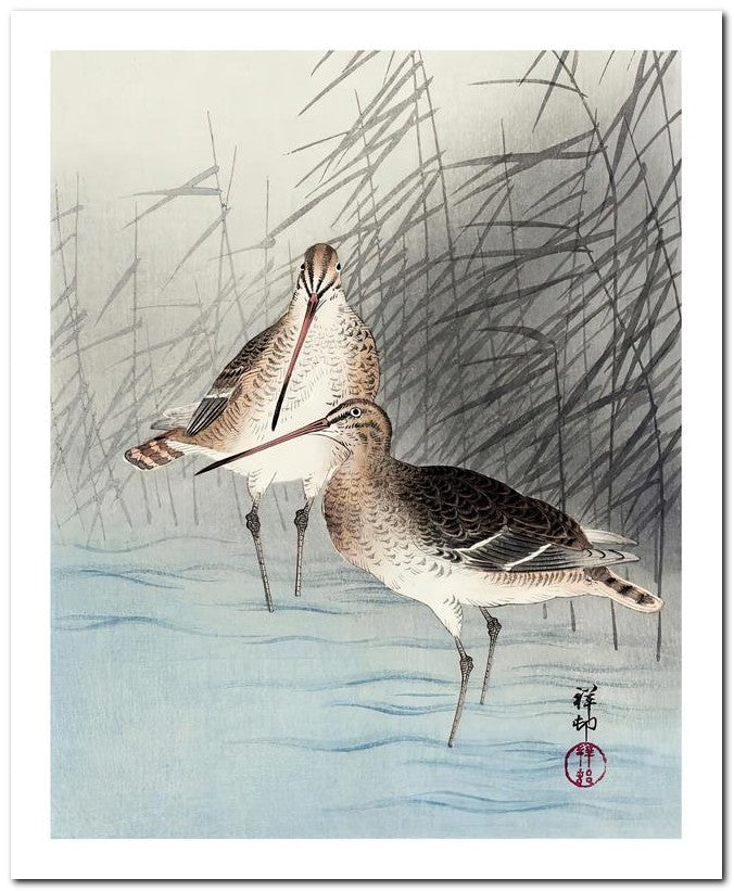 Ohara Koson 8x10 Fine Art Print 25032501982