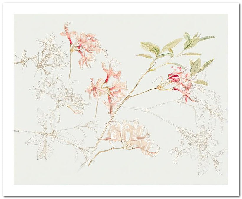 Samuel Colman 8x10 Fine Art Print 25032502539
