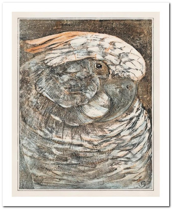 Theo Van Hoytema 8x10 Fine Art Print 25032502548
