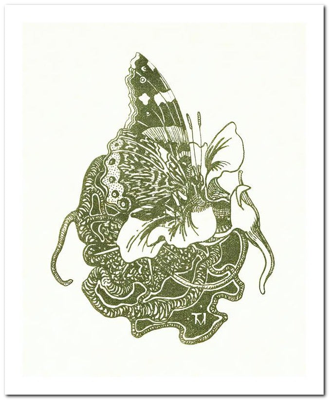 Theo Van Hoytema 8x10 Fine Art Print 25032502573