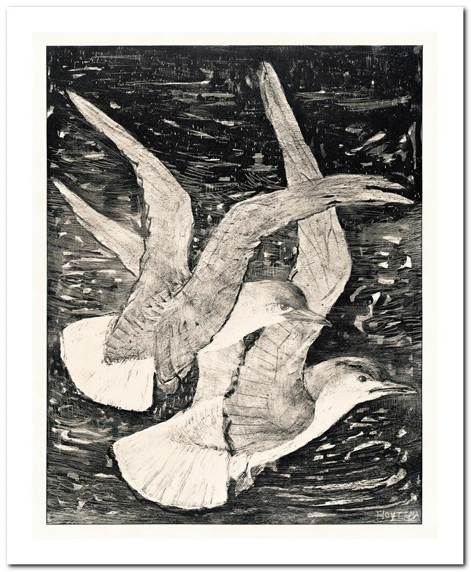 Theo Van Hoytema 8x10 Fine Art Print 25032502575