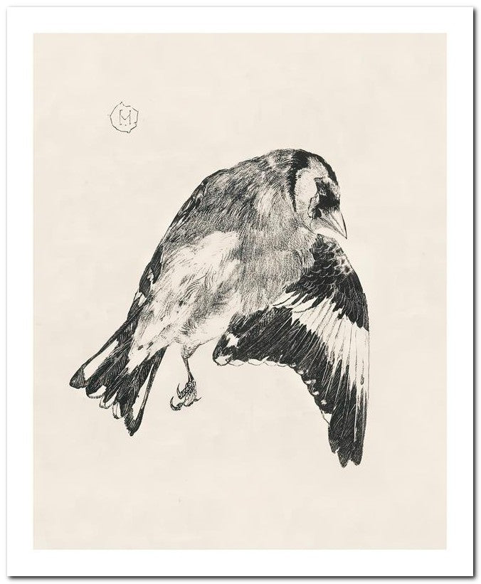 Theo Van Hoytema 8x10 Fine Art Print 25032502596