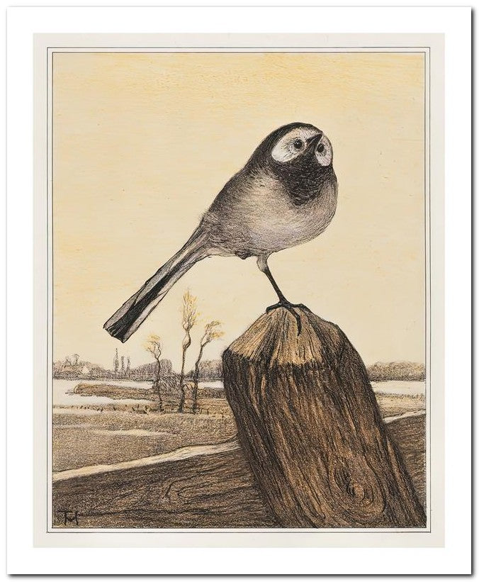 Theo Van Hoytema 8x10 Fine Art Print 25032502608