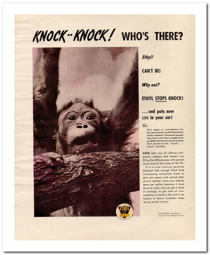 8x10 Vintage Ad 1936 Knock Knock Who's There 02062500001