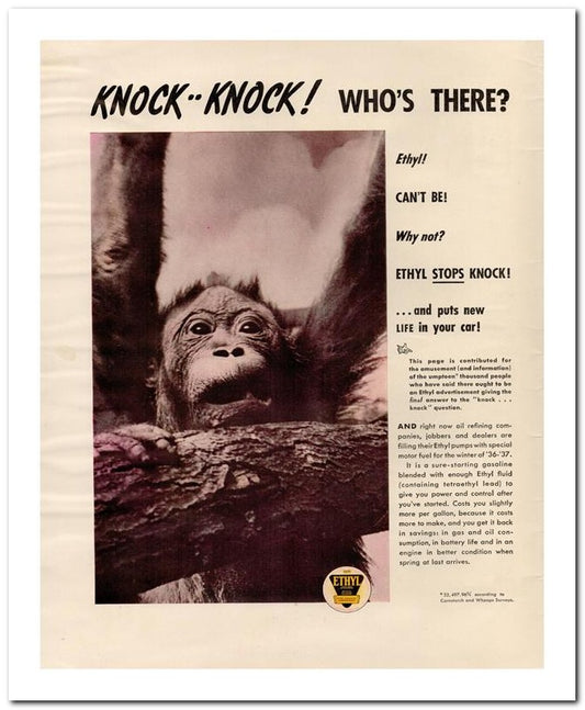 8x10 Vintage Ad 1936 Knock Knock Who's There 02062500001