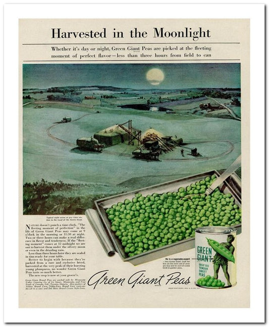 8x10 Vintage Ad 1939 Green Giant Peas 02062500099