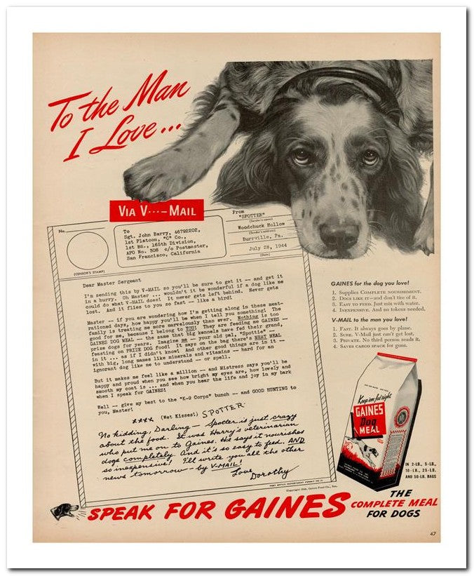8x10 Vintage Ad 1944 Gaines 02062500147