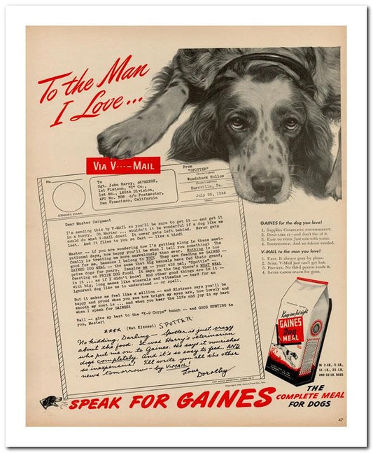 8x10 Vintage Ad 1944 Gaines 02062500147