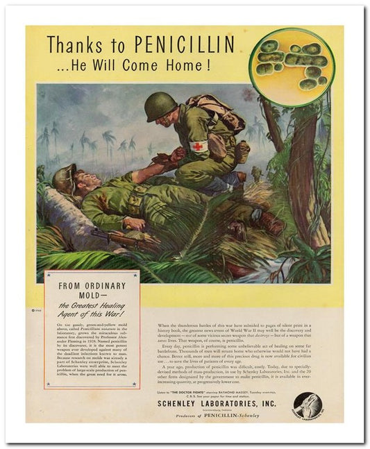 8x10 Vintage Ad 1944 Thanks To Penicillin 02062500170