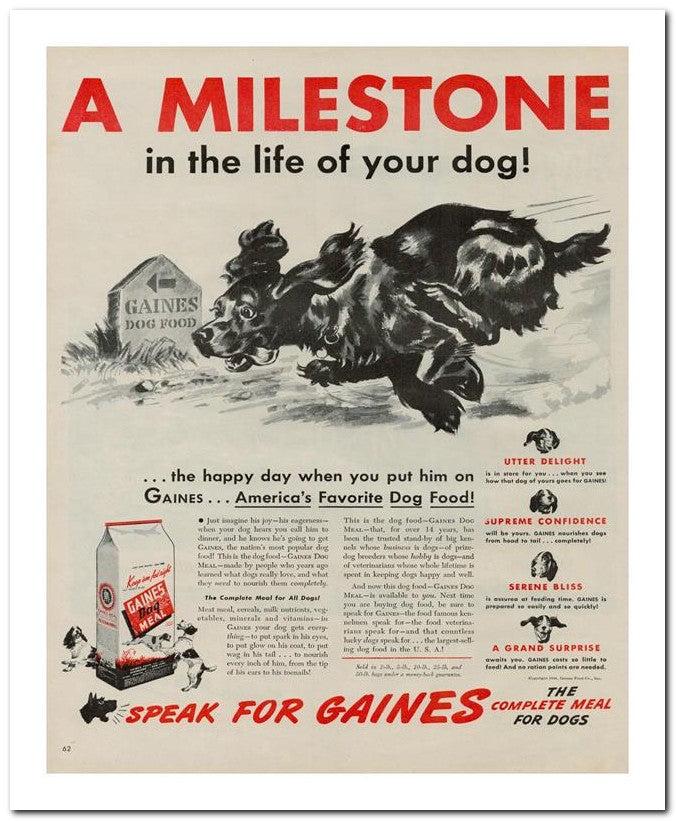 8x10 Vintage Ad 1944 A Milestone 02062500249