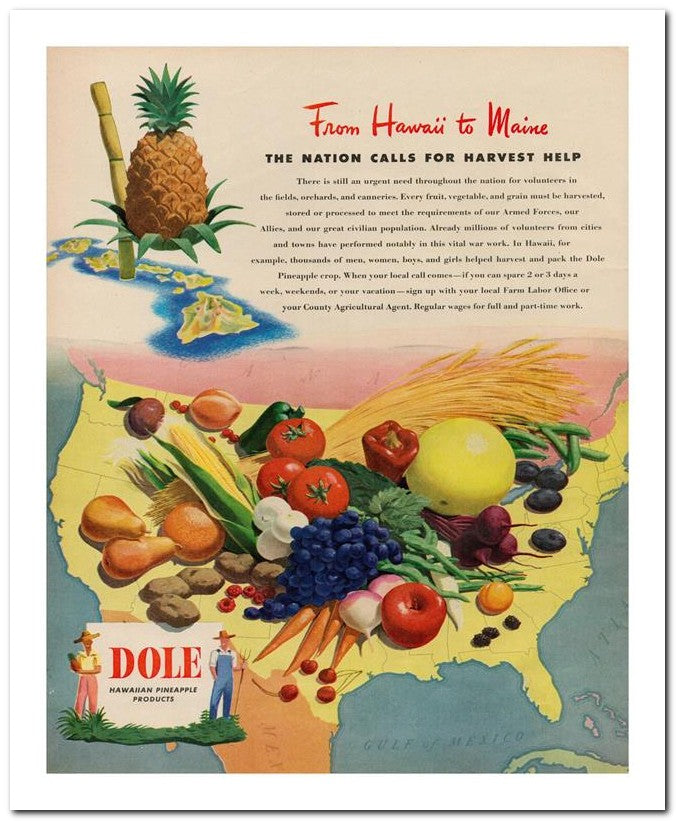 8x10 Vintage Ad 1944 From Hawaii To Maine 02062500257
