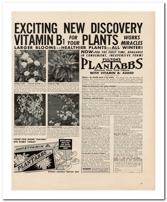 8x10 Vintage Ad 1939 Exciting New Discovery 02062500530