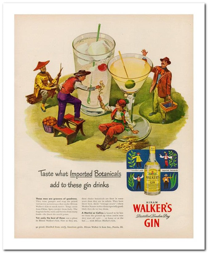 8x10 Vintage Ad 1947 Taste What Imported Botanicals 02062500894