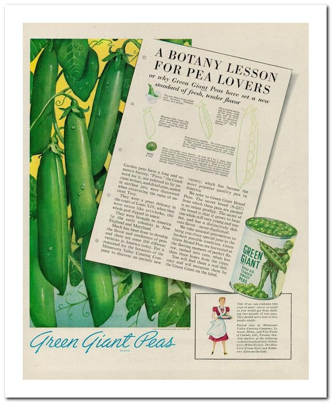 8x10 Vintage Ad 1939 Green Giant 02062501223