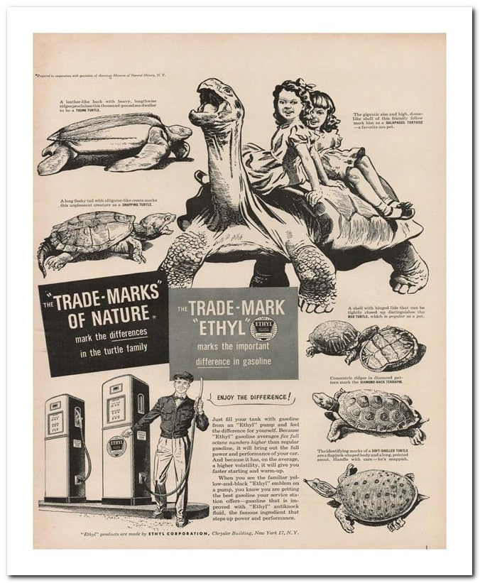 8x10 Vintage Ad 1950 Trad E Mark 02062501271