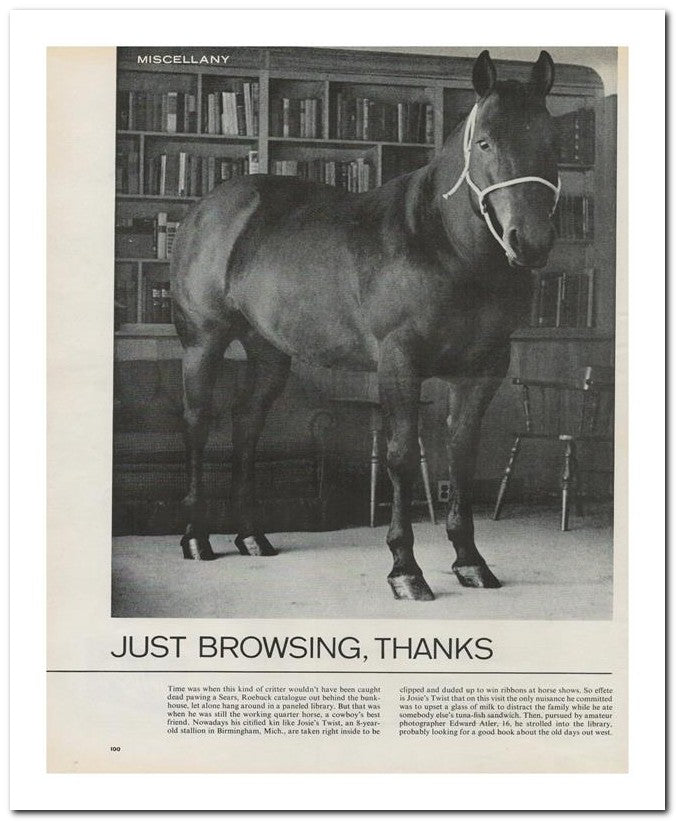 8x10 Vintage Ad 1963 Just Browsing Thanks 02062501851
