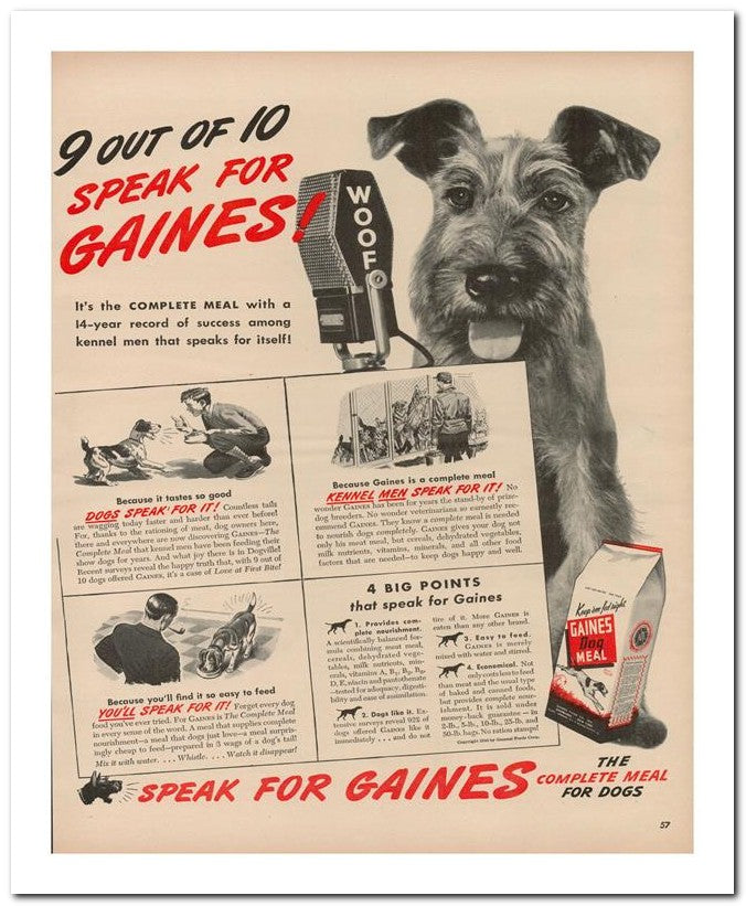 8x10 Vintage Ad 1944 Gaines 02062502705