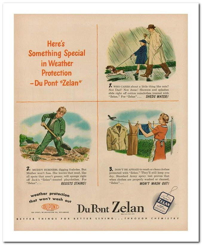 8x10 Vintage Ad 1944 Du Pont Zelan 02062502807