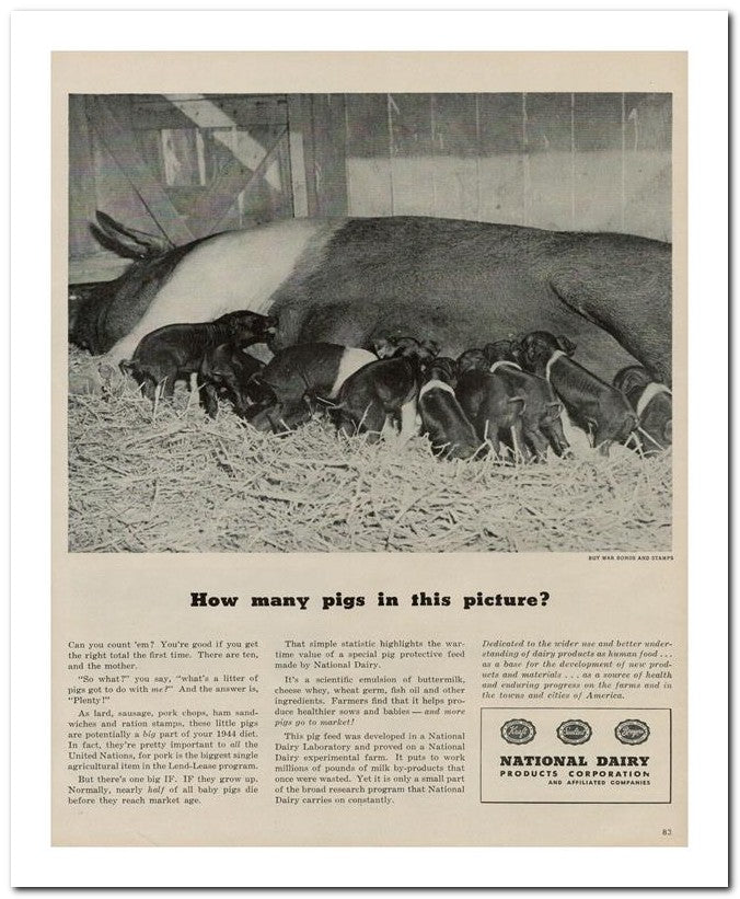 8x10 Vintage Ad 1944 How Many Pigs In This Picture 02062502897