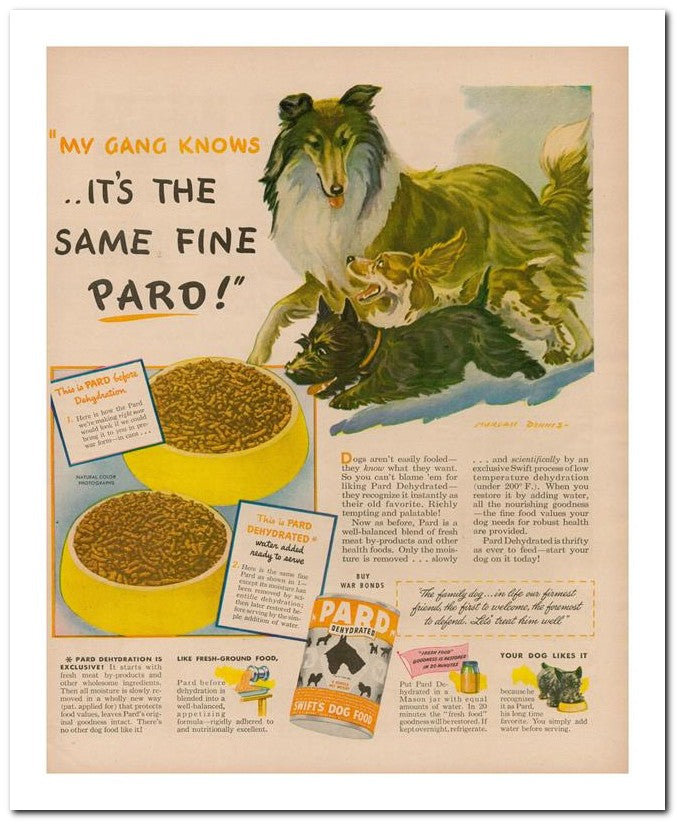 8x10 Vintage Ad 1944 Paro 02062502922
