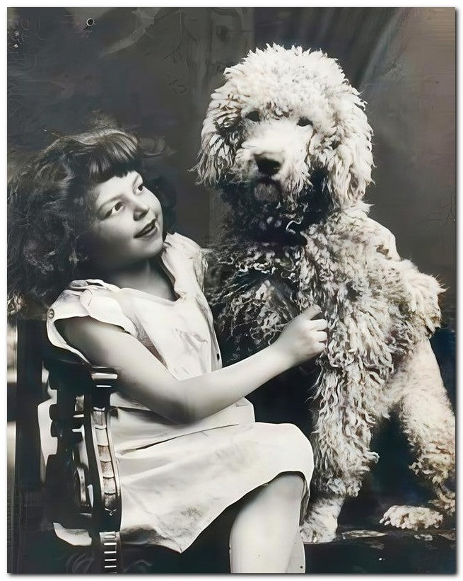 Belle Epoque Children 1906 Big Poodle 8x10 Photo Print 23052500103