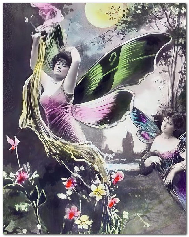 Belle Epoque Fashion 1910 Butterfly wings 7 8x10 Photo Print 23052502005