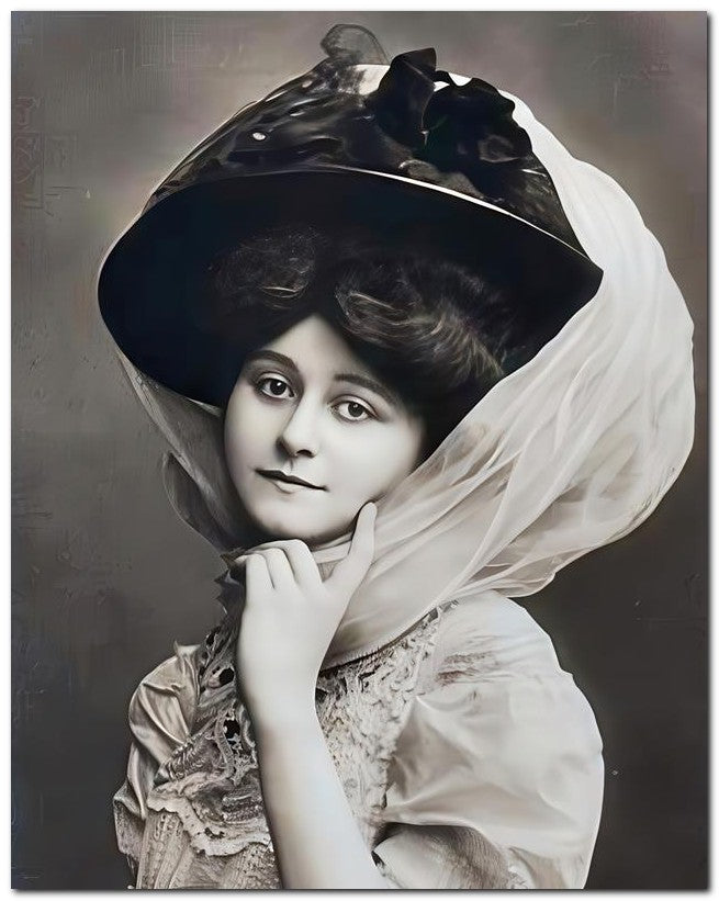 Belle Epoque Fashion 1910's Sheer Delight 8x10 Photo Print 23052502621