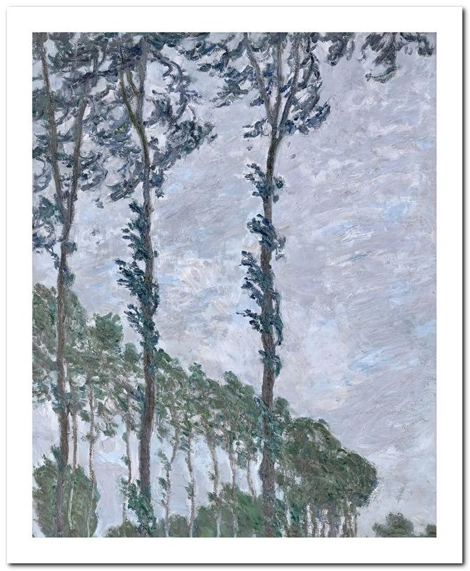 Claude Monet 8x10 Fine Art Print 25032500487