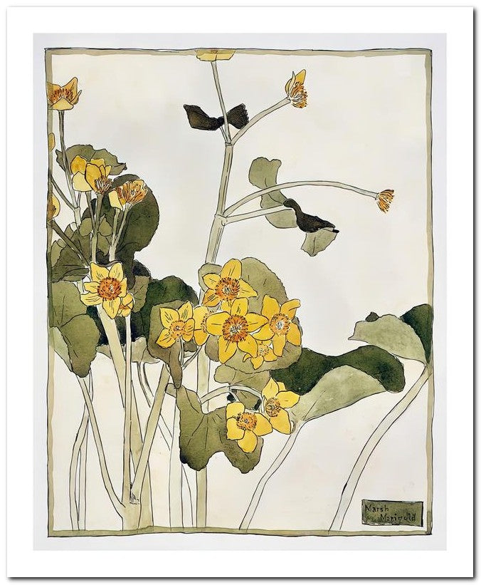 Hannah Borger Overbeck 8x10 Fine Art Print 25032501064