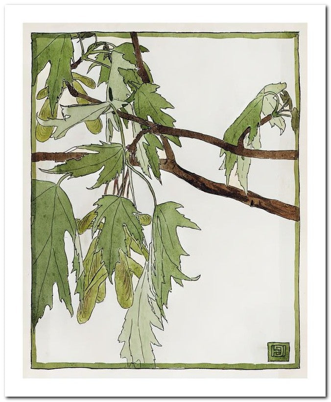 Hannah Borger Overbeck 8x10 Fine Art Print 25032501065
